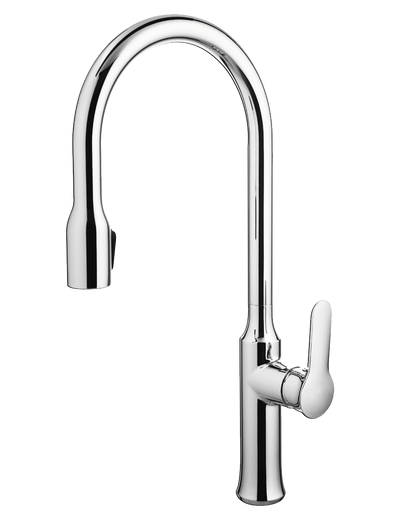 Andrej - Pull-Down Kitchen Faucet